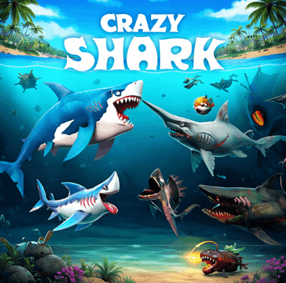 Crazy Shark
