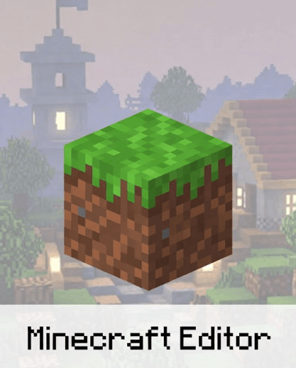 Minecraft Editor