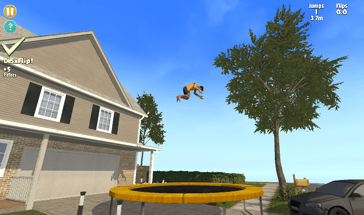 Ragdoll Flip