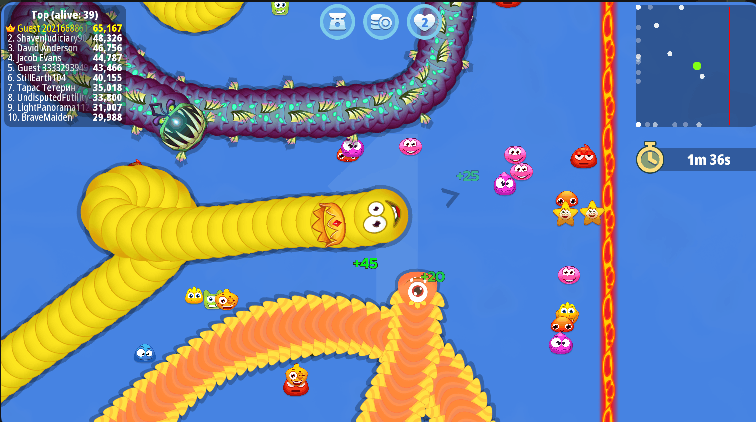 Worm Hunt